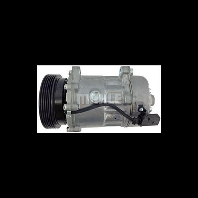 Mahle Klimakompressor ACP-191-000S für VAG