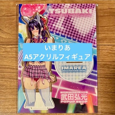 Takeda Hiromitsu Imarea Tsubaki A5 Acrylic Figure Popup Shop New