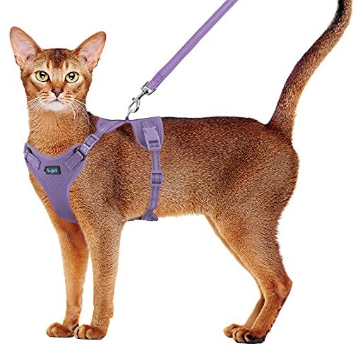 medium cat harness