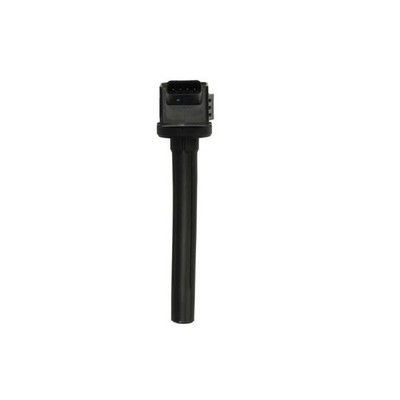   DELPHI IGNITION COIL GN11019-12B1 NEU DE STOCK