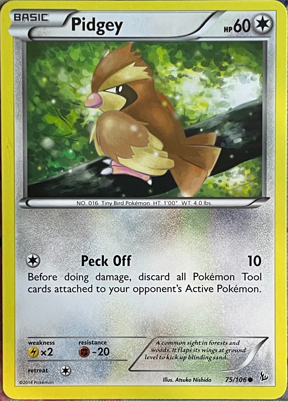 Pidgey - 75/106 - XY Flashfire Pokemon 2014
