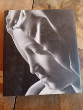 Michelangelo La Pietà Fotografie Di Aurelio Amendola Antonio Paolucci SKIRA 1997