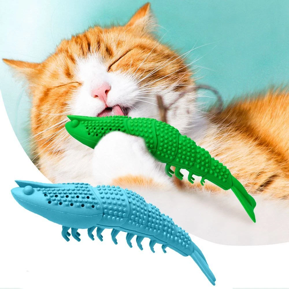 Interactive cat toothbrush sales