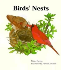 Birds' Nests by Eileen Curran
