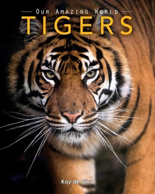 Tigers: Amazing Pictures & Fun Facts on Animals in Nature (Our Amazing World...