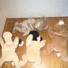 Ty Teenie Beanies Bear Dog Lion Plush Lot 3-7 Years Age Level 3-4 4-7 — photo 2
