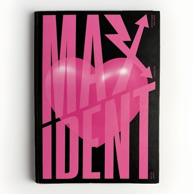 MAXIDENT by Stray Kids Mini Album (CD, 2022, Republic Records) Heart Version
