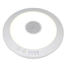 LED Indoor/Outdoor Rechargeable Bluetooth Speaker Light - White, IP65, 4000K,