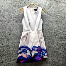 Stylestalker Womens Dress Size XS Grey Blue Sleeveless A-line Round Neck