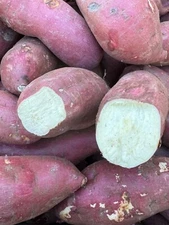Fresh Japanese White Sweet Potatoes Yam - Red Skin - White Flesh - Large Roots