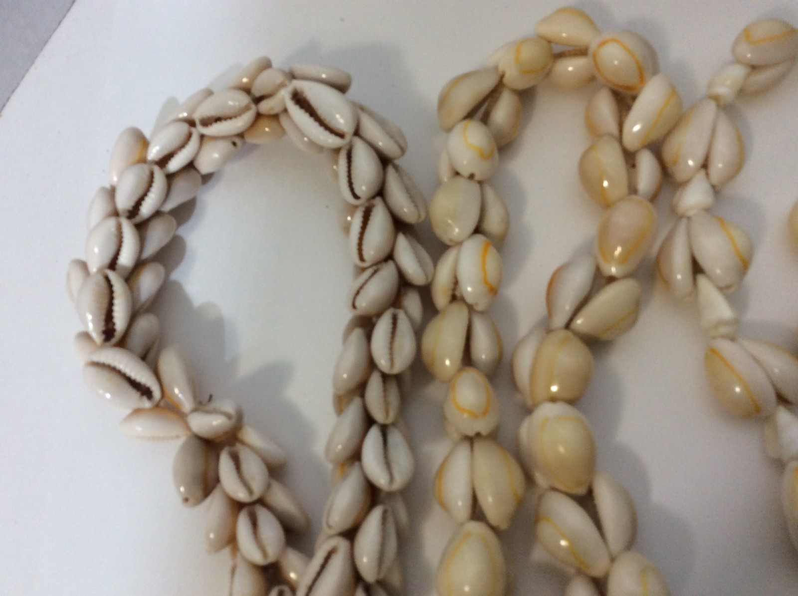 Five Large Seashell Necklaces - image 2