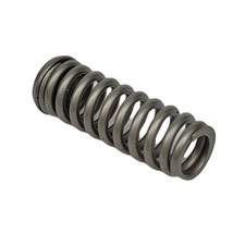 For K20A For K20Z For K24A Engine Spring Replacement 14820-PNA-013 Direct Fit