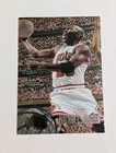 1995-96 Fleer Metal Michael Jordan #13 Chicago Bulls HOF