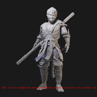WuKong The Monkey King 1/24 1/18 Model Kit Unpainted Garage Kit 3D Printing GK
