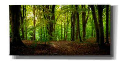 Epic Graffiti 'Summer Forest' by Nicklas Gustafsson Canvas Wall Art