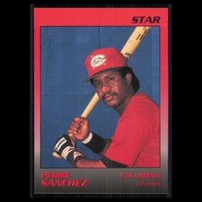 Pedro Sanchez #21 1989 Star Minor League Columbus Mudcats Baseball Card MLB NM