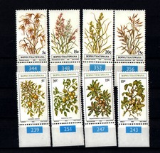 Botswana - Gräßer/Früchte