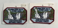 Anna Ruby Falls Patch Chattahoochee National Forest Scenic Area Georgia Souvenir
