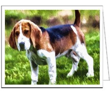 American Foxhound Blank Notecards - Set of Six