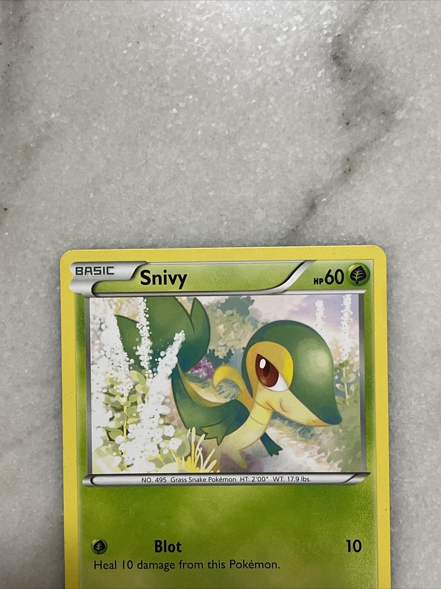 Pokemon Snivy Basic Trading Card HP 60 Grass Snake Pokemon 5/124