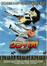 Kung Pow! Enter the Fist 2002 Steve Oedekerk Japanese Chirashi Movie Flyer B5