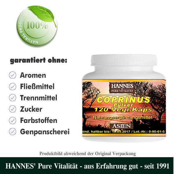 Coprinus Pilz Pulver 120 Vegi-Kaps - Beste HANNES' Qualität - Bild 1 von 1
