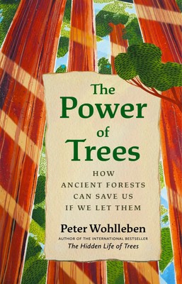 The Power of Trees | How Ancient Forests Can Save Us if We Let Them | Wohlleben