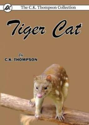 Tiger Cat