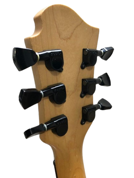 Used Burny / Fernandes LS-55S Les Paul-ish Black Sustainer Bigsby