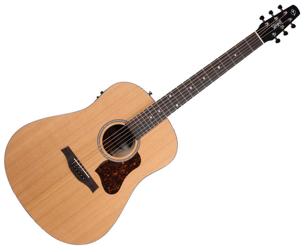 Seagull online acoustic electric