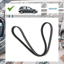 Dayco Keilrippenriemen VW GOLF V (1K1) 1.6