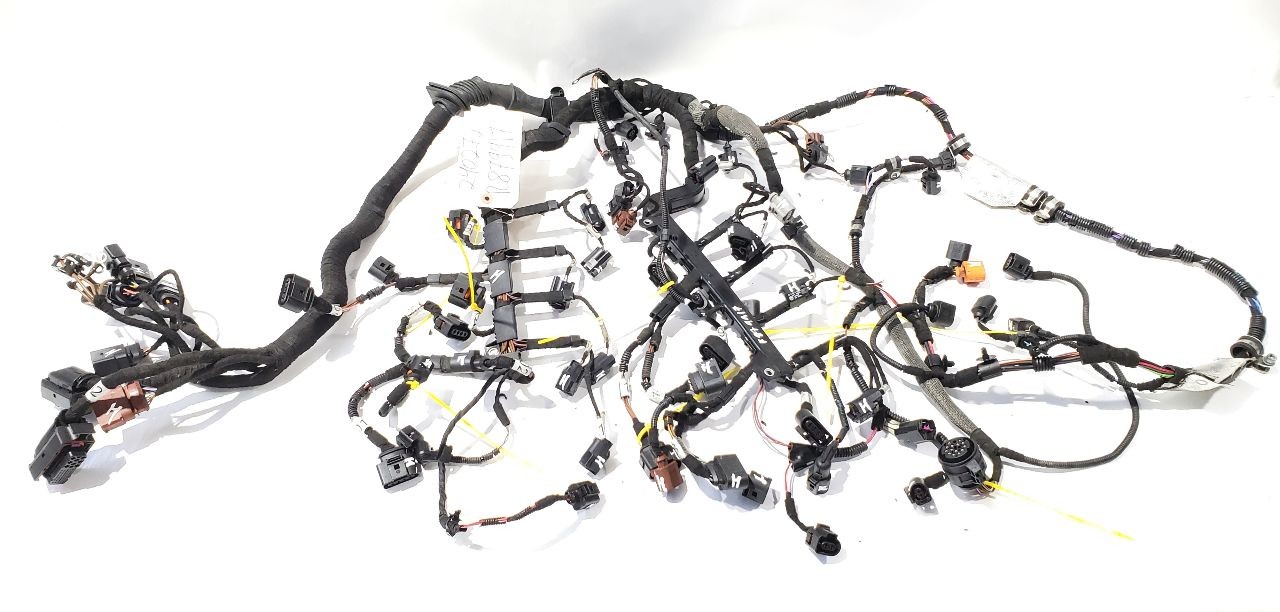 Bentley Continental GT 2007 Wiring harness
