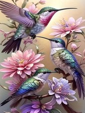 5D Diamond Painting Kits for Adults, Hummingbird Diamond Art for Beginners, DIY