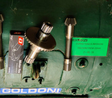 COPPIA CONICA +ASSE FRESA MOTOCOLTIVATORE GOLDONI TIPO 22 DENTI 10-33