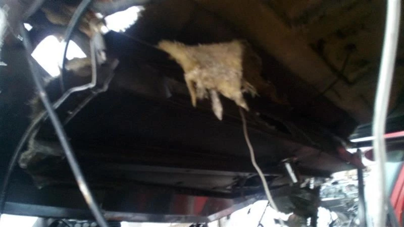 Vidro traseiro Kenworth W900 1985 (9241356 - Imagem 2 de 4