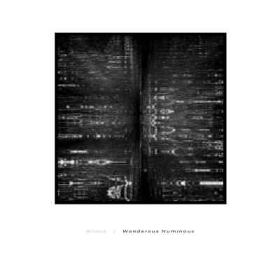Altone / WONDERSCAPE NUMINOUS (180G / BRENDON MOELLER RMXS / BLACK VINYL) / Pri