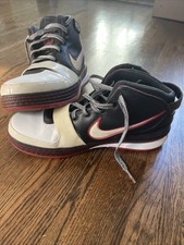 lebron 6 stewie griffin price