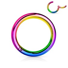 Stainless Steel Segment Clicker Hinged Ring septum eyebrow (SEP-601) 16g 18g