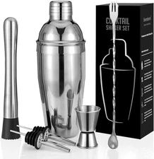 Cocktail Shaker Set, 6-Piece Mixology Bartender Kit Premium Shakers Silver 