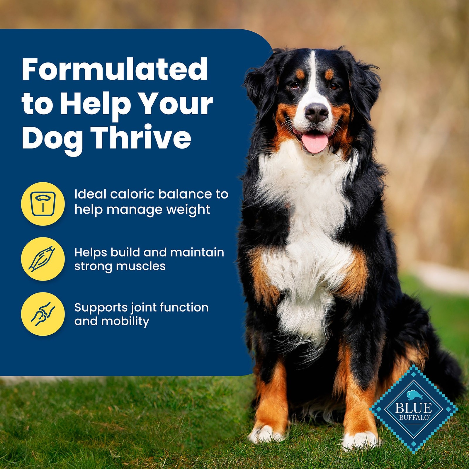 30Lbs Blue Buffalo Life Protection Formula Healthy Weight Dog Food Chicken Rice