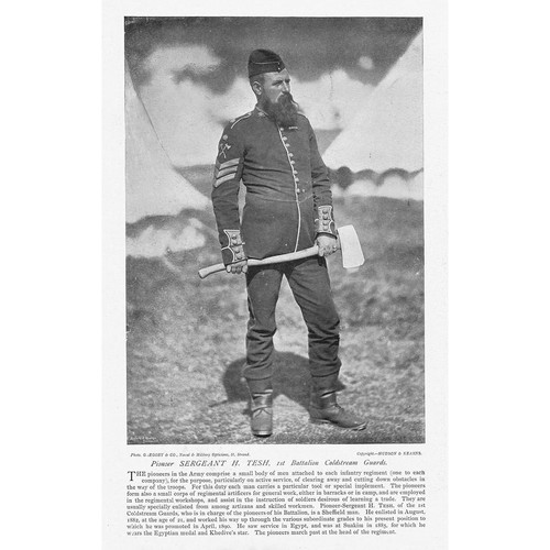 COLDSTREAM GUARDS Pioneer Sergeant H. Tesh - Antique Print 1895