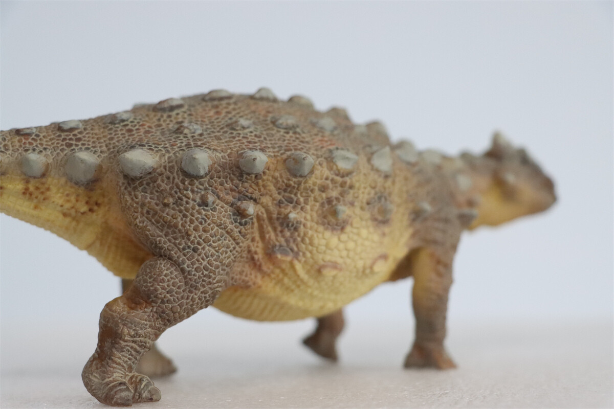 ankylosaurusページ Amazon.com: Ankylosaurus Dinosaur Jigsaw Puzzle | 100-Piece