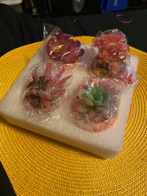 Set of 4 Arthemes Artificial Succulents