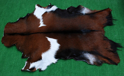 New Goat hide Rug Hair on Area Rug Size 36"x24" Animal Leather Goat Skin U-5741 - Picture 1 of 3