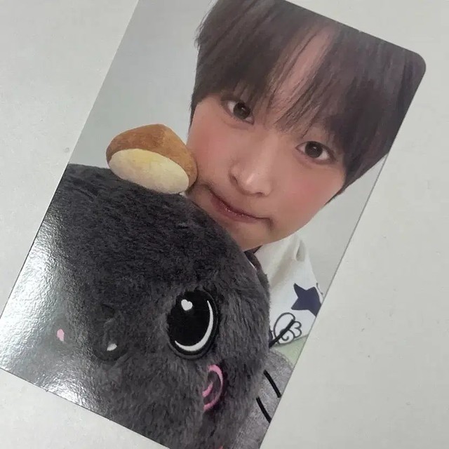 Wishi Bakery Trecra Riku, Brand New