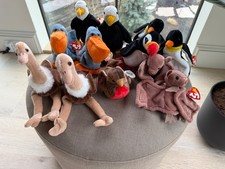 TY Beanie Babies Wild Birds Lot - 12 Plush Beanies w/Tags - Adorable Mix 