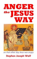 Stephen Joseph Wolf | Anger The Jesus Way | Taschenbuch | Englisch (2016)