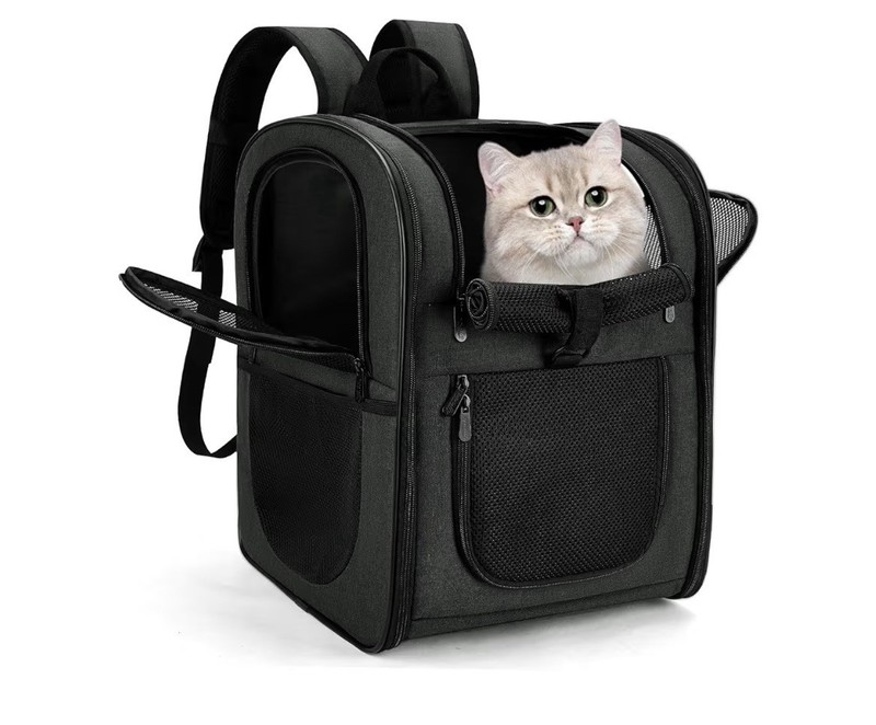 Apollo Walker Dog & Cat Carrier Backpack for 12.6"L x 11.4"W x 16.8"H, Black 