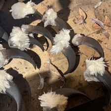 Bear Claws Resin Looks Real 3 1/2 inches Long Claw