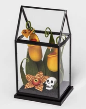Yellow Creepy Face Halloween Faux Plants in Small Terrarium Target Hyde & EEK!